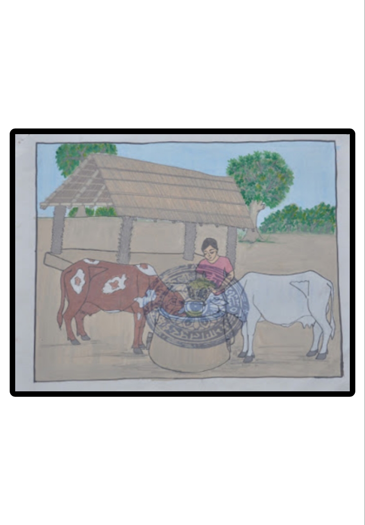 “Rural Harmony with Cows”