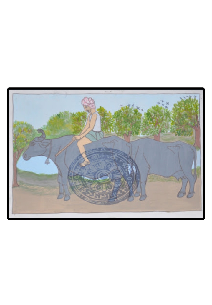 “Riding the Rural Rhythm”
